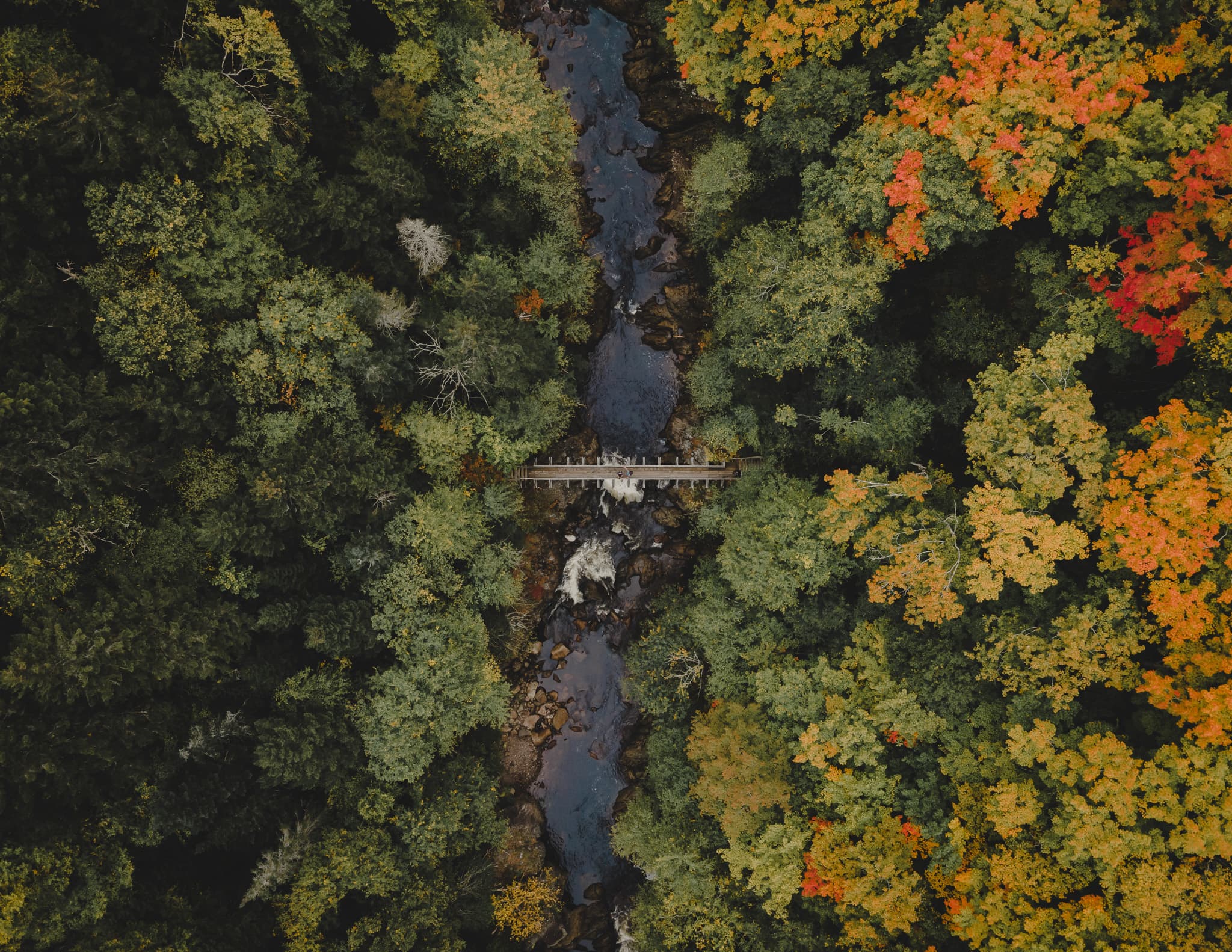 Aerial of a footbridge over a river in autumn forest